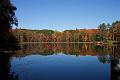 fall 045